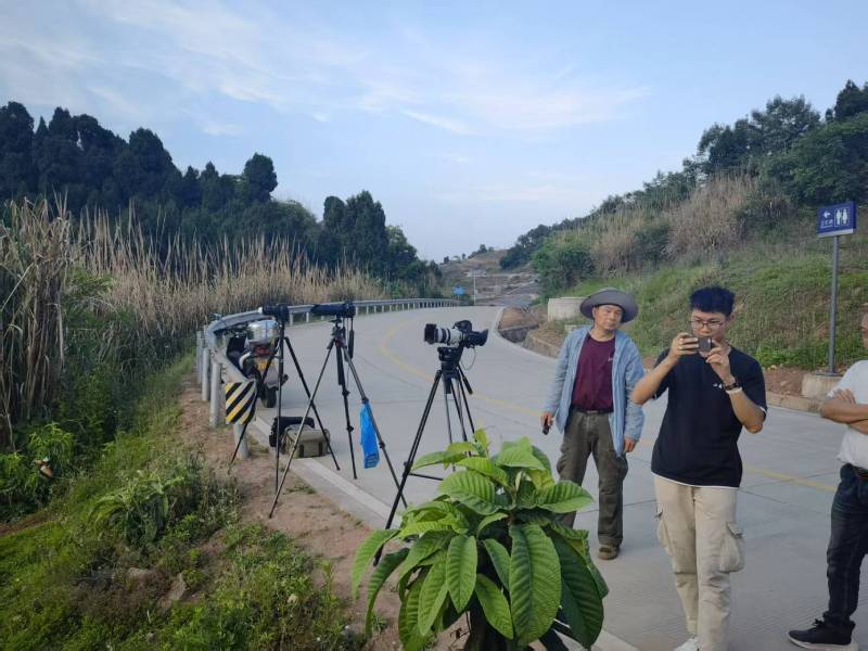 临夏县电商产品视频拍摄制作：如何打造高转化的电商视觉内容？